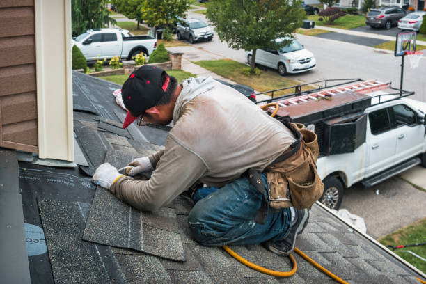 Professional Storm Damage Roof Repair technician working in Luray, TN